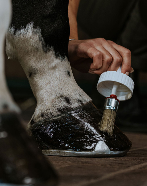 BERKANA OLEJ DO KOPYT 400 ml