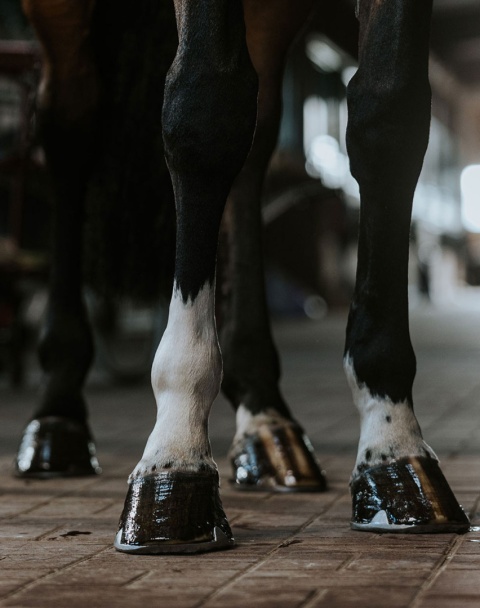 BERKANA OLEJ DO KOPYT 400 ml