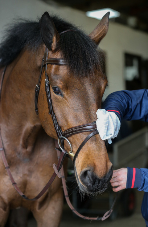 CDM BELVIOR TACK CLEANER MITTS STEP 1 - RĘKAWICZKI DO CZYSZCZENIA SKÓRY
