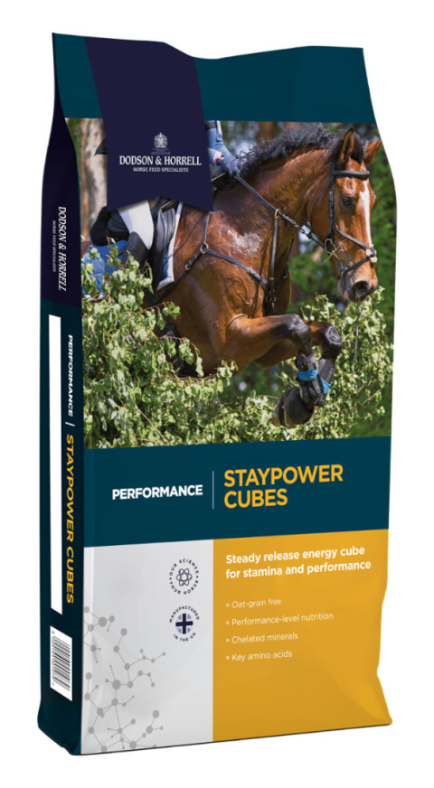DODSON & HORRELL STAYPOWER CUBES 20kg