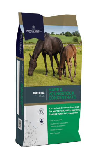 Koncentrat DODSON & HORRELL MARE & YOUNG CONCENTRAT 20kg