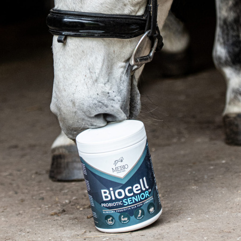 MEBIO BIOCELL SENIOR 1 kg