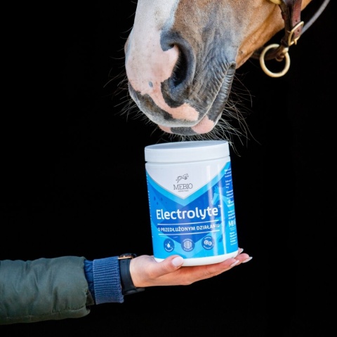 MEBIO Elektrolity ELECTROLYTE 1 kg