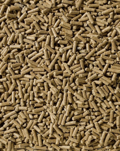 SARACEN RE-LEVE CUBES 20kg