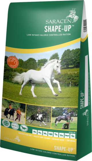SARACEN SHAPE-UP 20kg