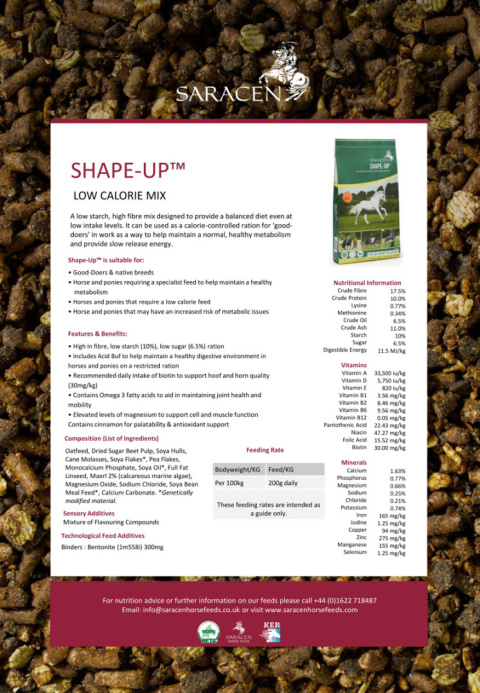 SARACEN SHAPE-UP 20kg