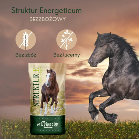 ST HIPPOLYT STRUKTUR ENERGETICUM BEZZBOŻOWY 15 kg