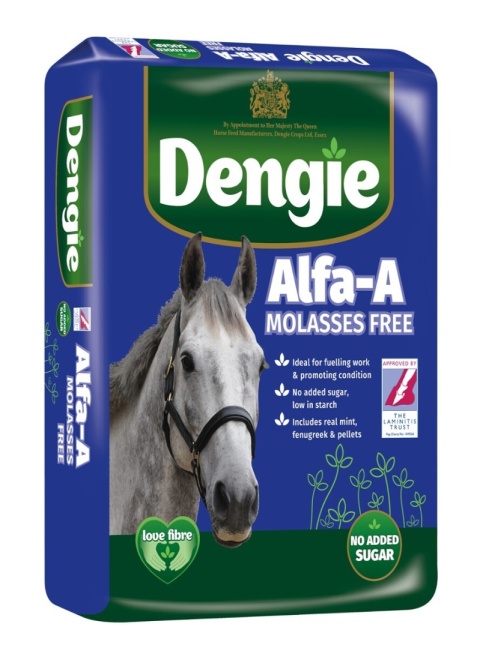 Sieczka DENGIE ALFA A MOLASSES FREE 20 kg