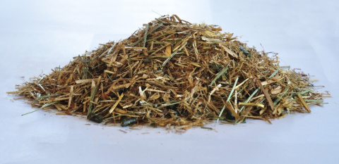 Sieczka DENGIE COOL CONDITION & SHINE 20kg