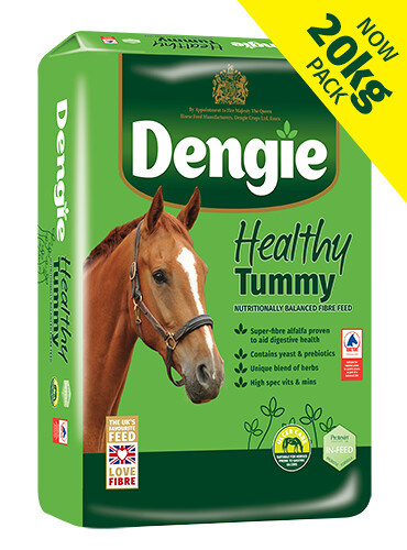 Sieczka DENGIE HEALTHY TUMMY 20kg