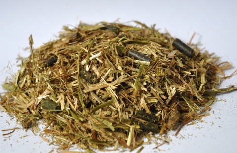 Sieczka DENGIE HI FI MOLASSES FREE 20 kg