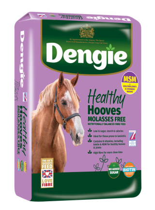 Sieczka DENGIE HEALTHY HOOVES MOLASSES FREE 20kg