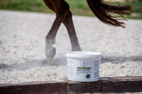 HIPPOVET PHARMACY Oddychanie MUCOLITOL 3kg