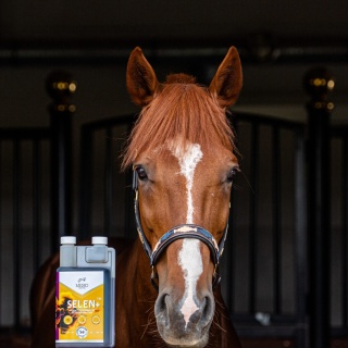 MEBIO SELEN+ 1l