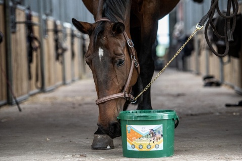 MEBIO Witaminy DAILY MINERALS 8kg