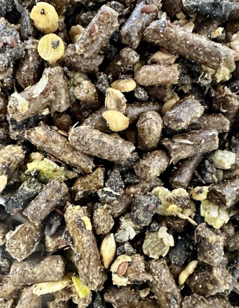 SARACEN Koncentrat dla koni starszych VETERAN BALANCER 20kg